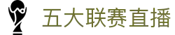 玩球即时比分直播：英超欧冠NBA实时赛况查询与数据走势观察